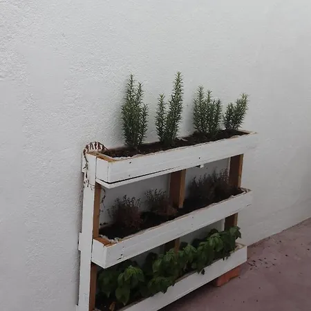 Appartement Casa Gil Vicente Almada